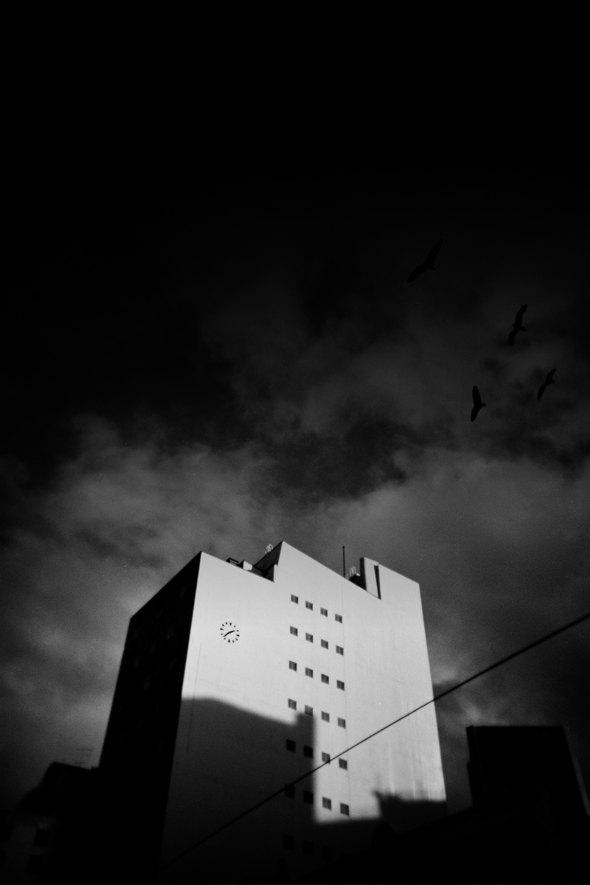 Cabinet [photograph, 2002]