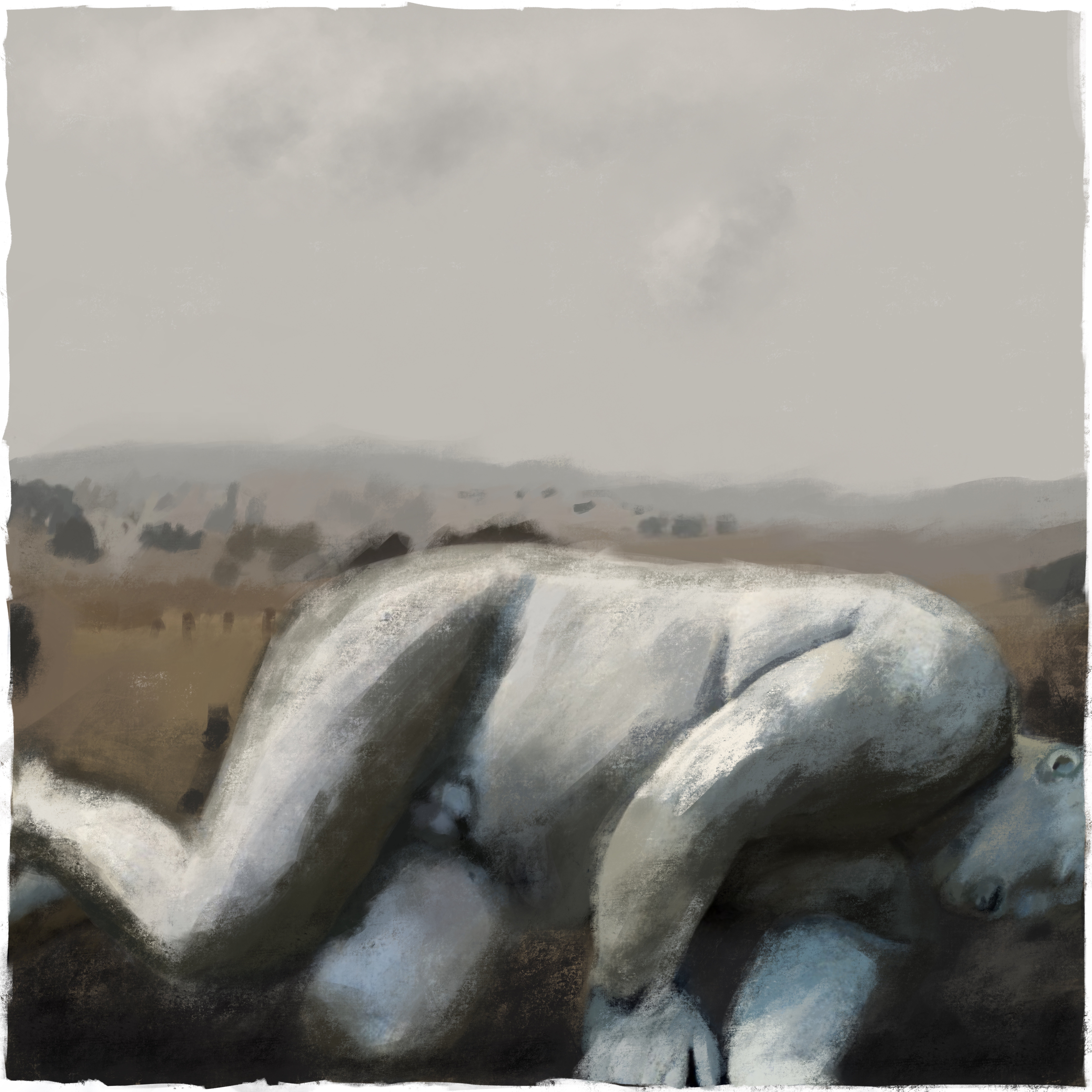 Stone inhumation [20170914 drawing, 1000x1000mm]