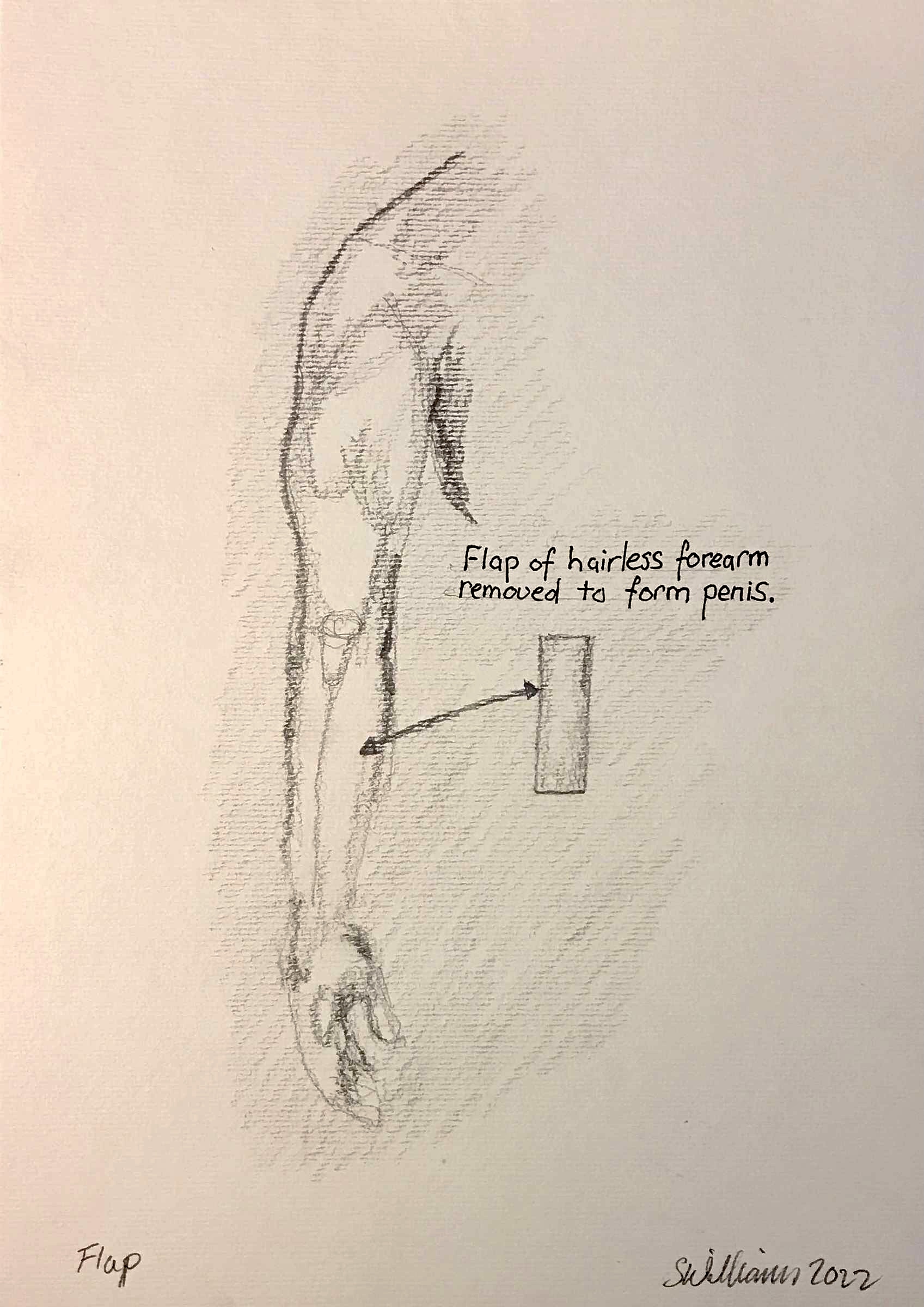 Flap (notebook, pencil, 20220120) Stephen J. Williams