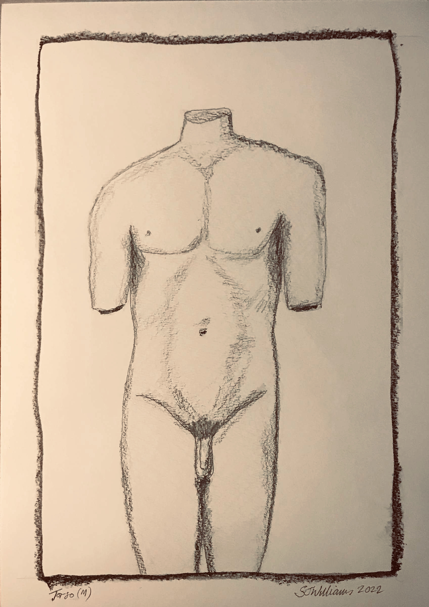 Torso (M) (pencil drawing, 20220119) Stephen J. Williams