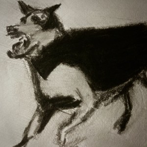 Dog (charcoal and pencil, 20220321) Stephen J. Williams
