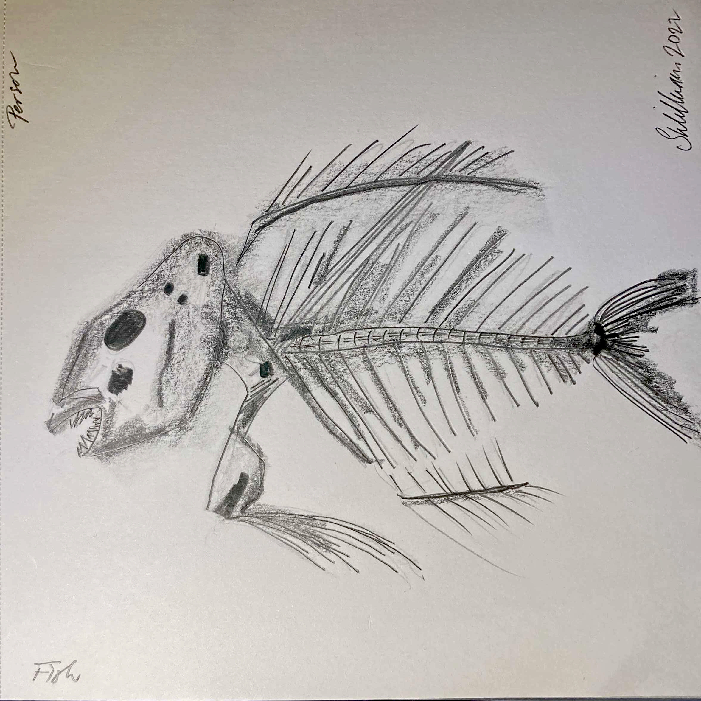 Person-fish (pencil, 20220320) Stephen J. Williams