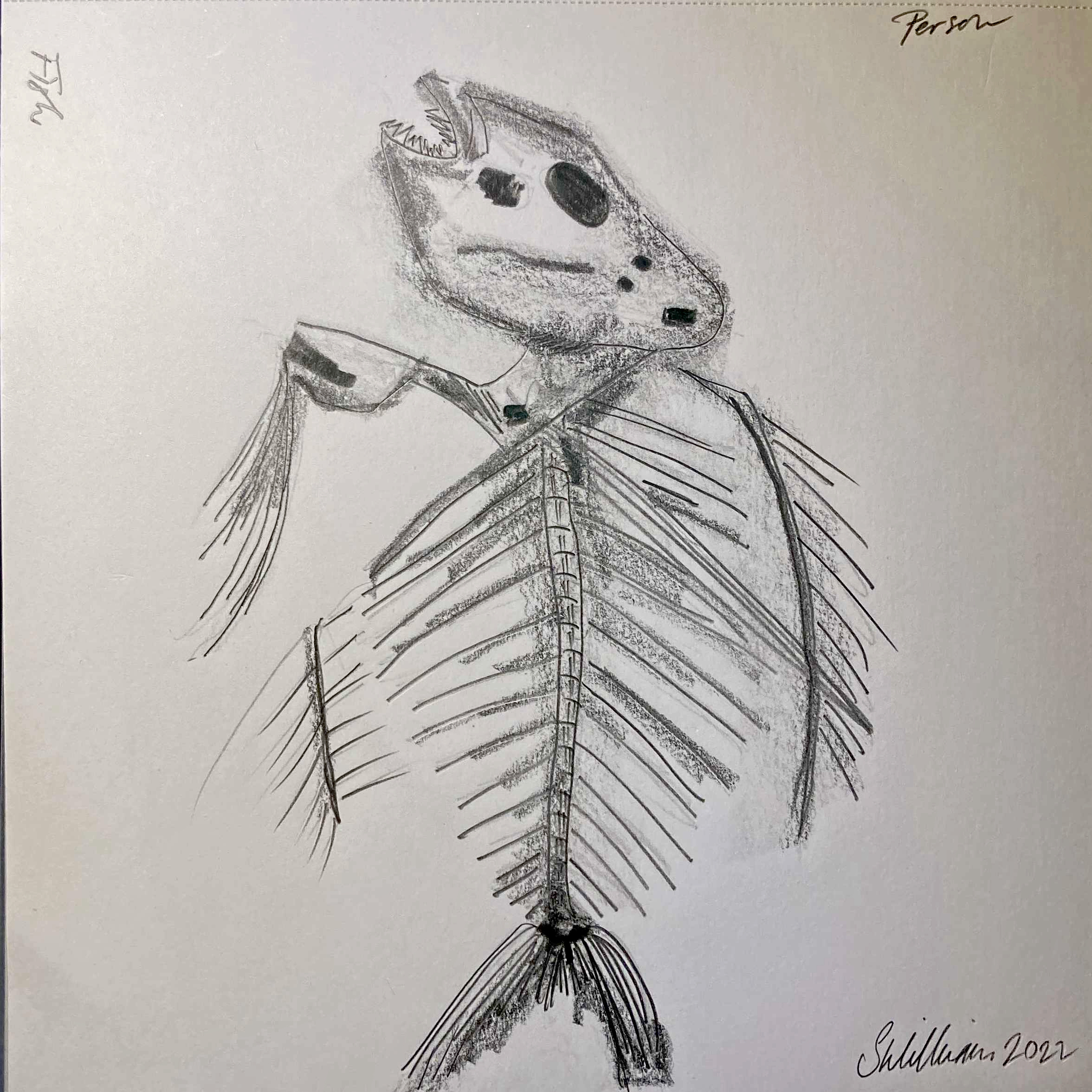 Person-fish (pencil, 20220320) Stephen J. Williams