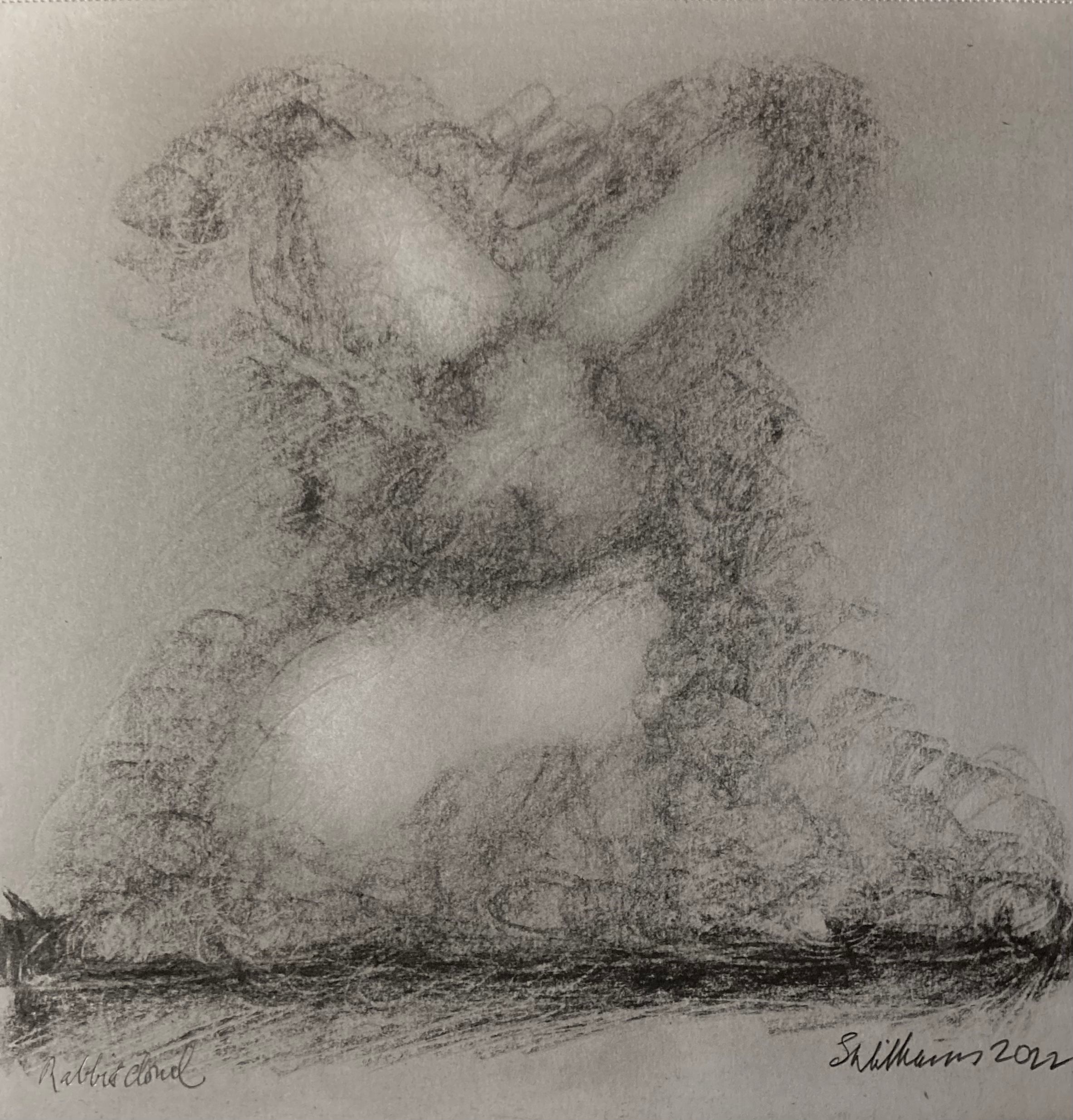 Rabbit cloud (charcoal, 20220330) Stephen J. Williams