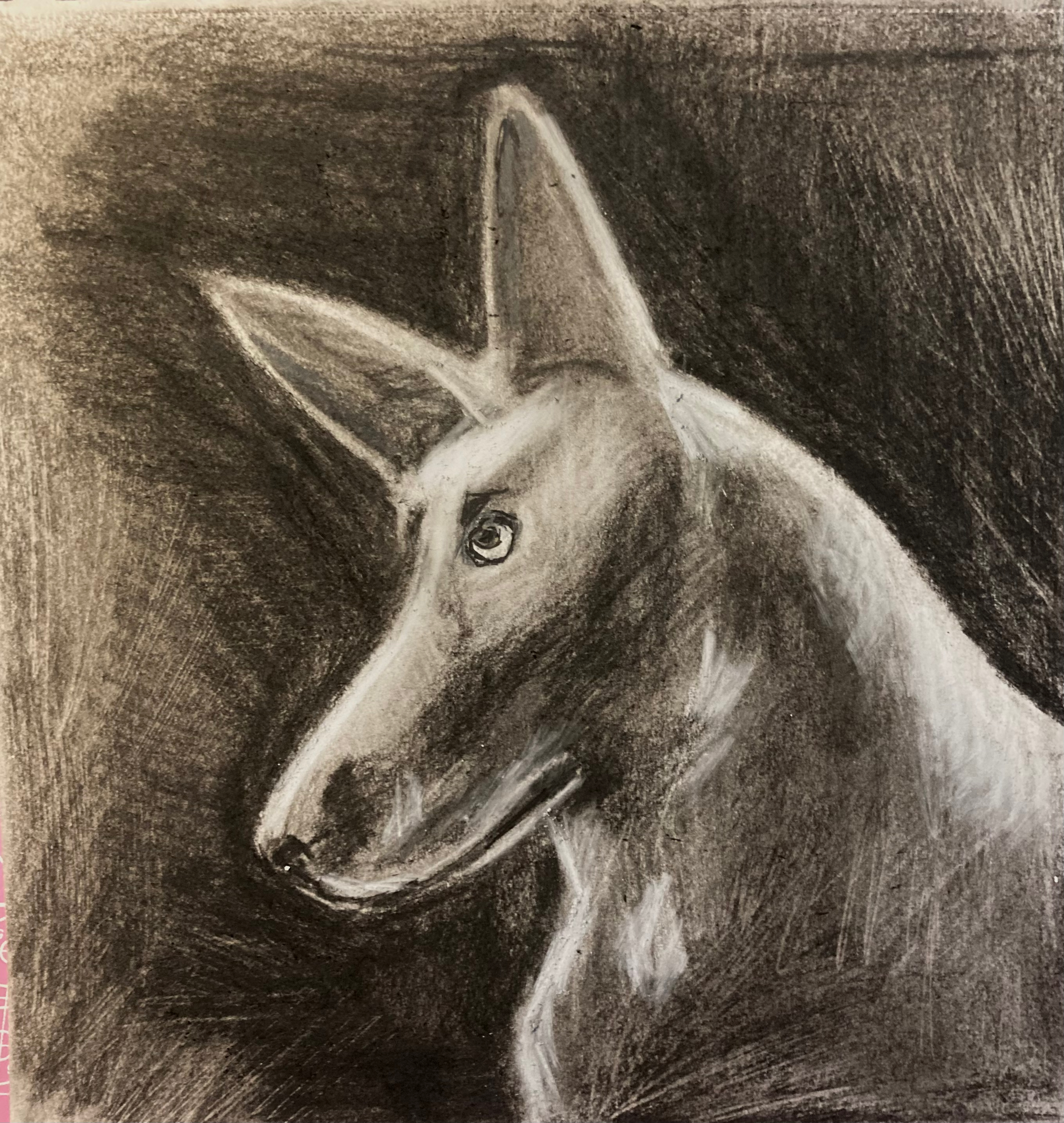The dog is listening (charcoal, pencil and ink, 20220330) Stephen J. Williams