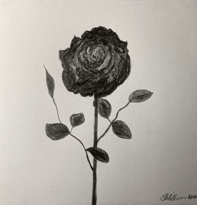 Black nature (pencil and charcoal, 20220403) Stephen J. Williams