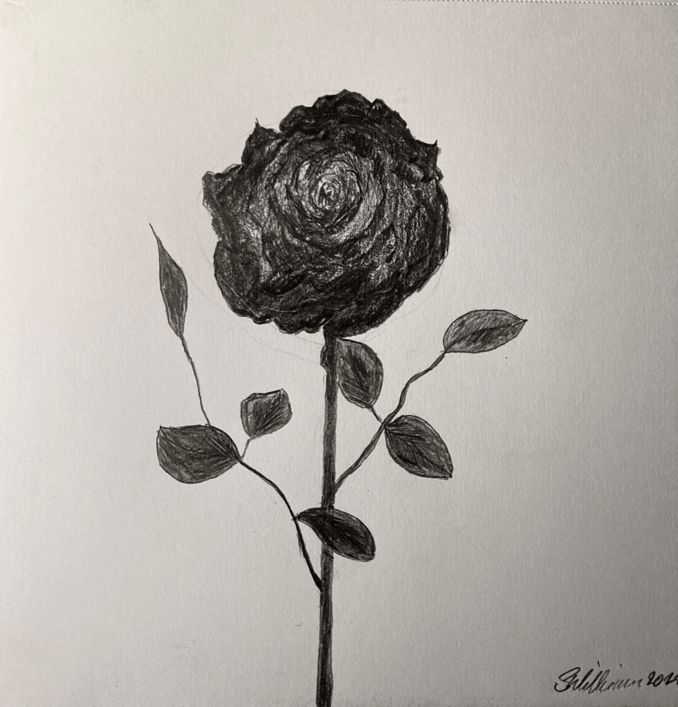 Black nature (pencil and charcoal, 20220403) Stephen J. Williams