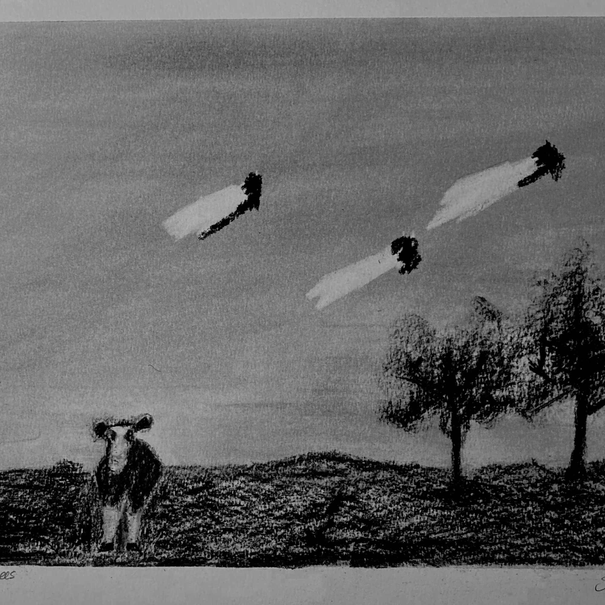 Cow, ghosts, trees (charcoal, 20220407) Stephen J. Williams