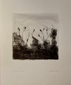 Mr Feather's birds (charcoal, 20220409) Stephen J. Williams