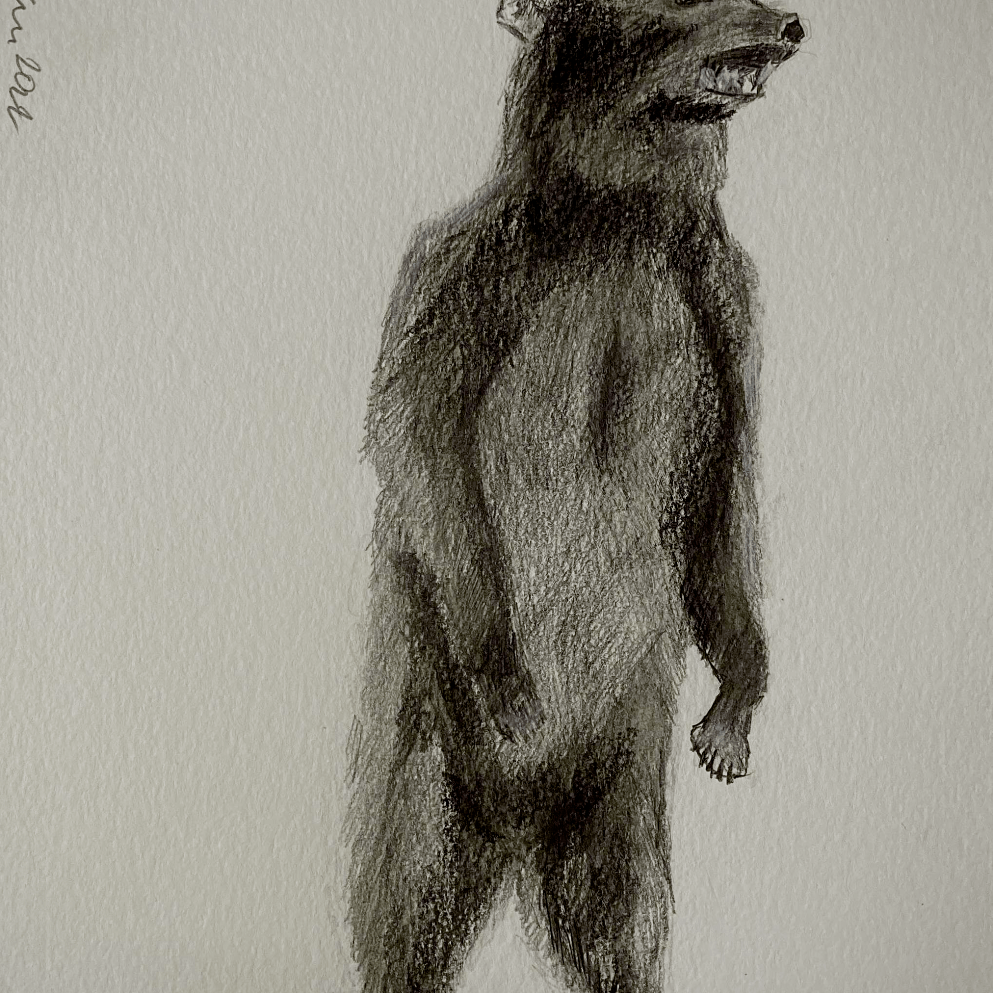 Standing (graphite and acrylic, 20220414) Stephen J. Williams