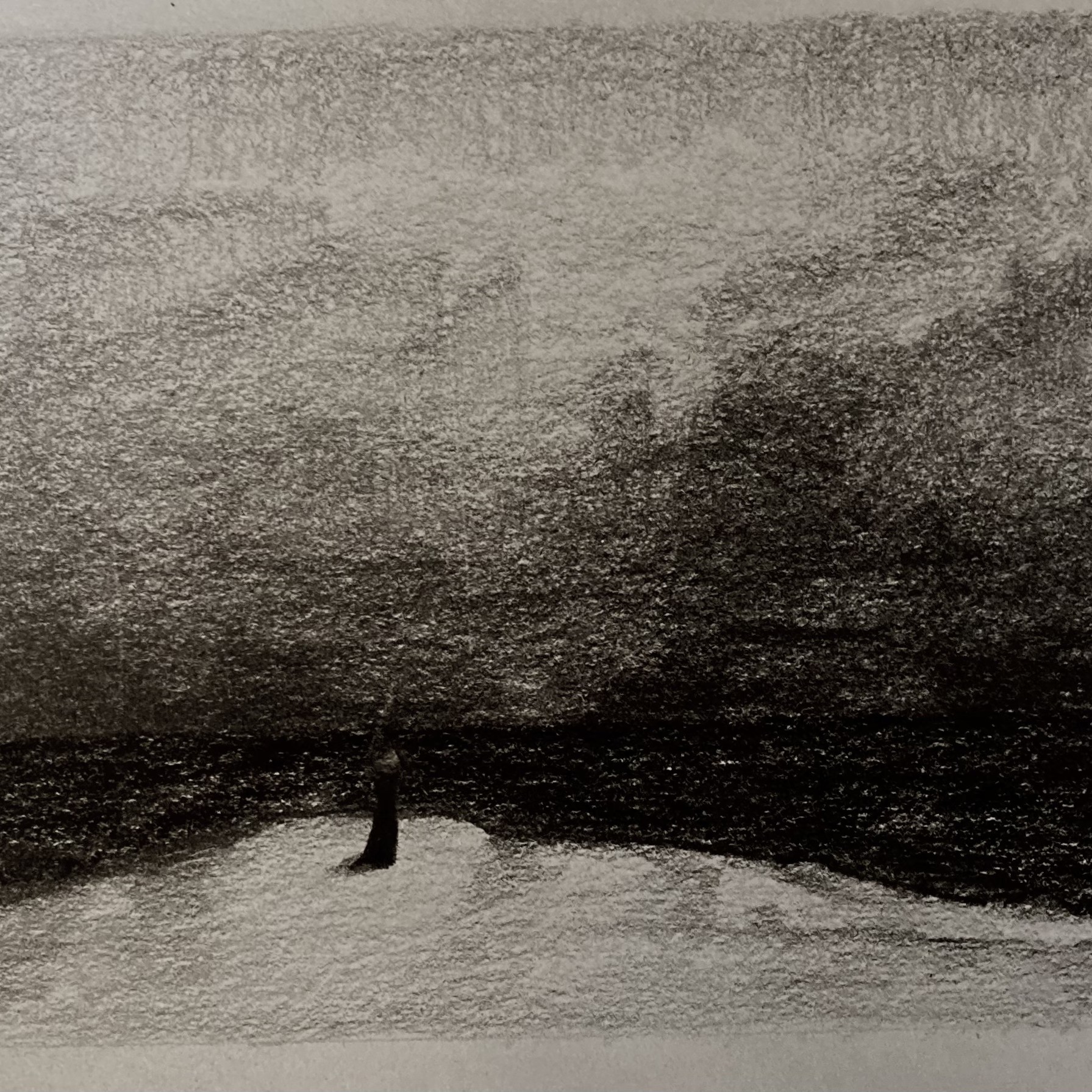 Monk on film (pencil, 20220530) Stephen J. Williams