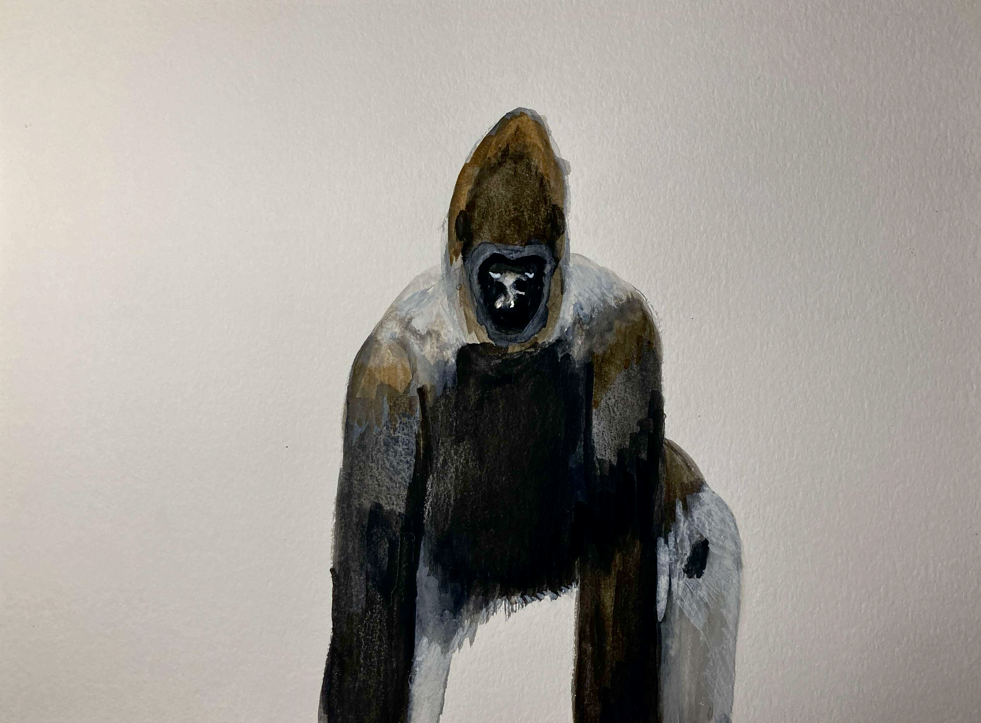 Gorilla (watercolor, 20230202) Stephen J. Williams