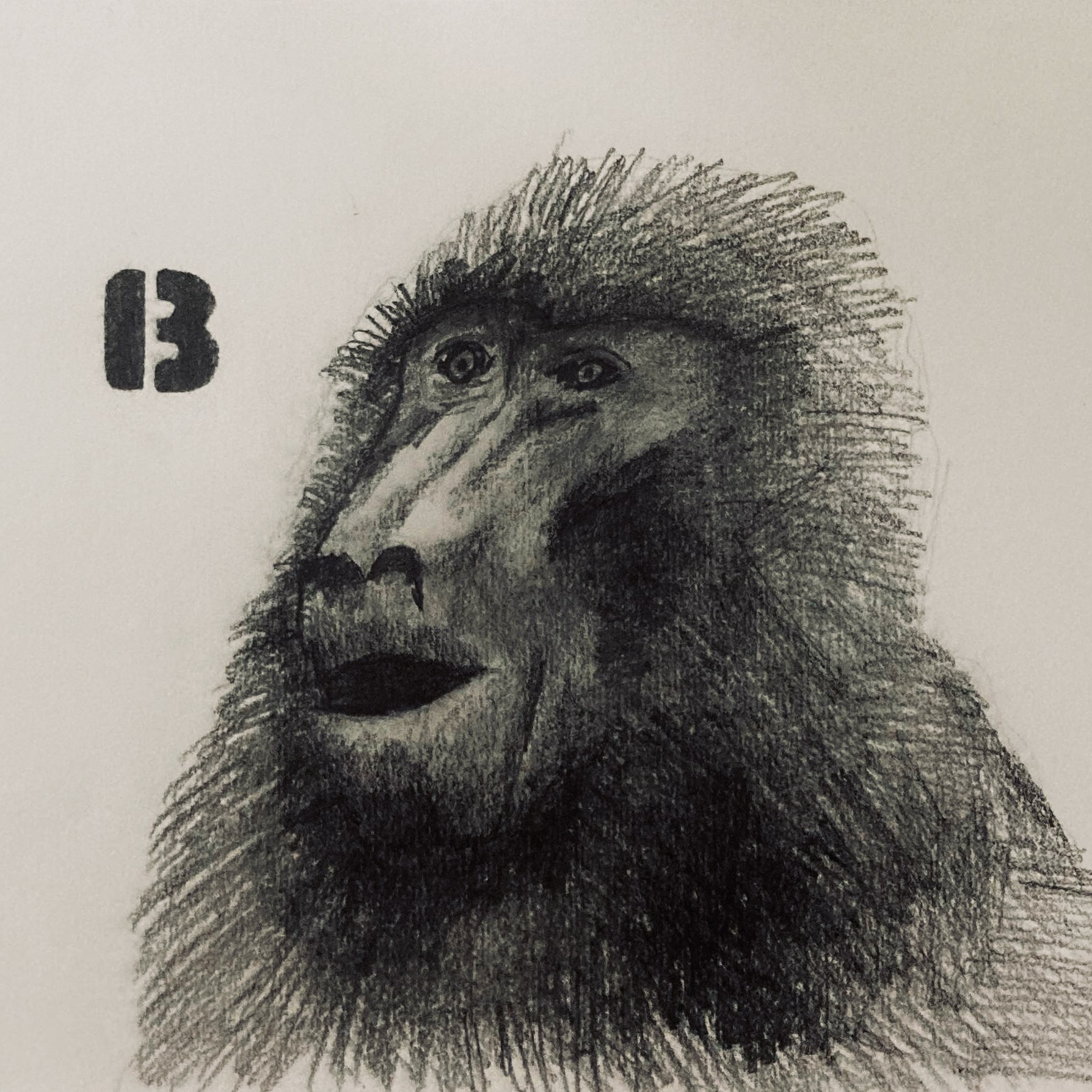 B (pencil, 20231216) Stephen J. Williams