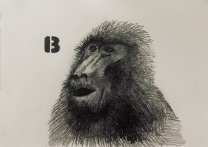 B (pencil, 20231216) Stephen J. Williams