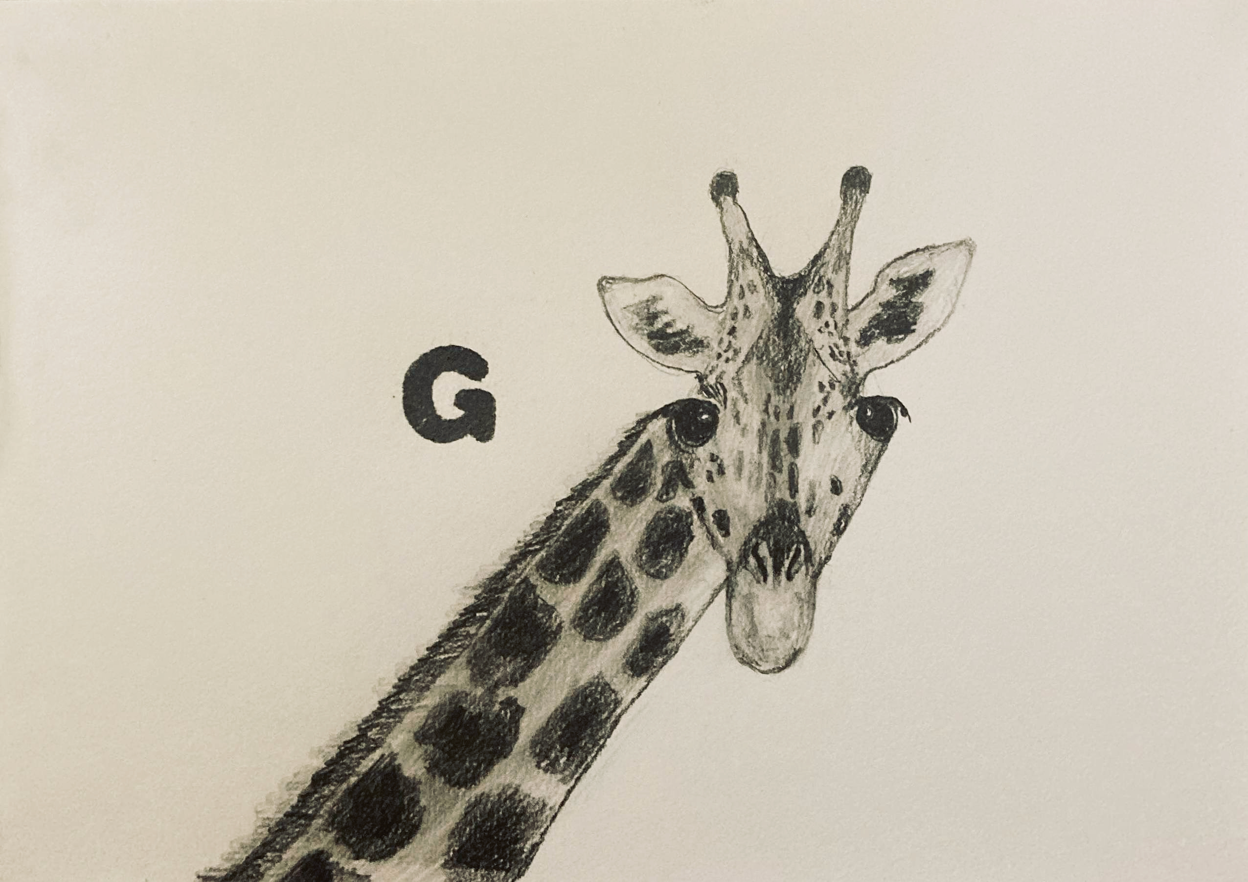 G (pencil, 20231217) Stephen J. Williams