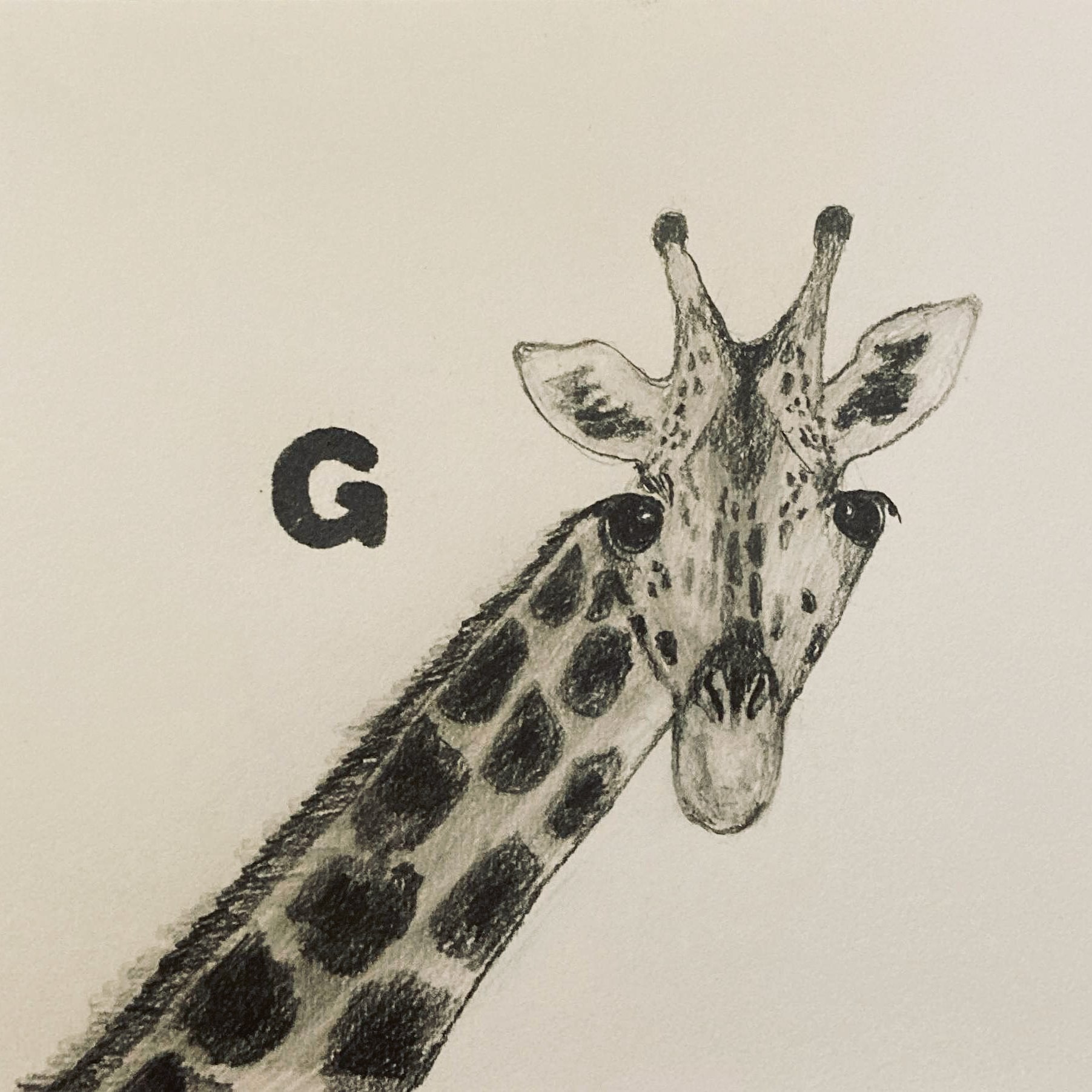 G (pencil, 20231217) Stephen J. Williams