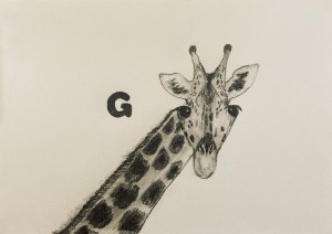 G (pencil, 20231217) Stephen J. Williams