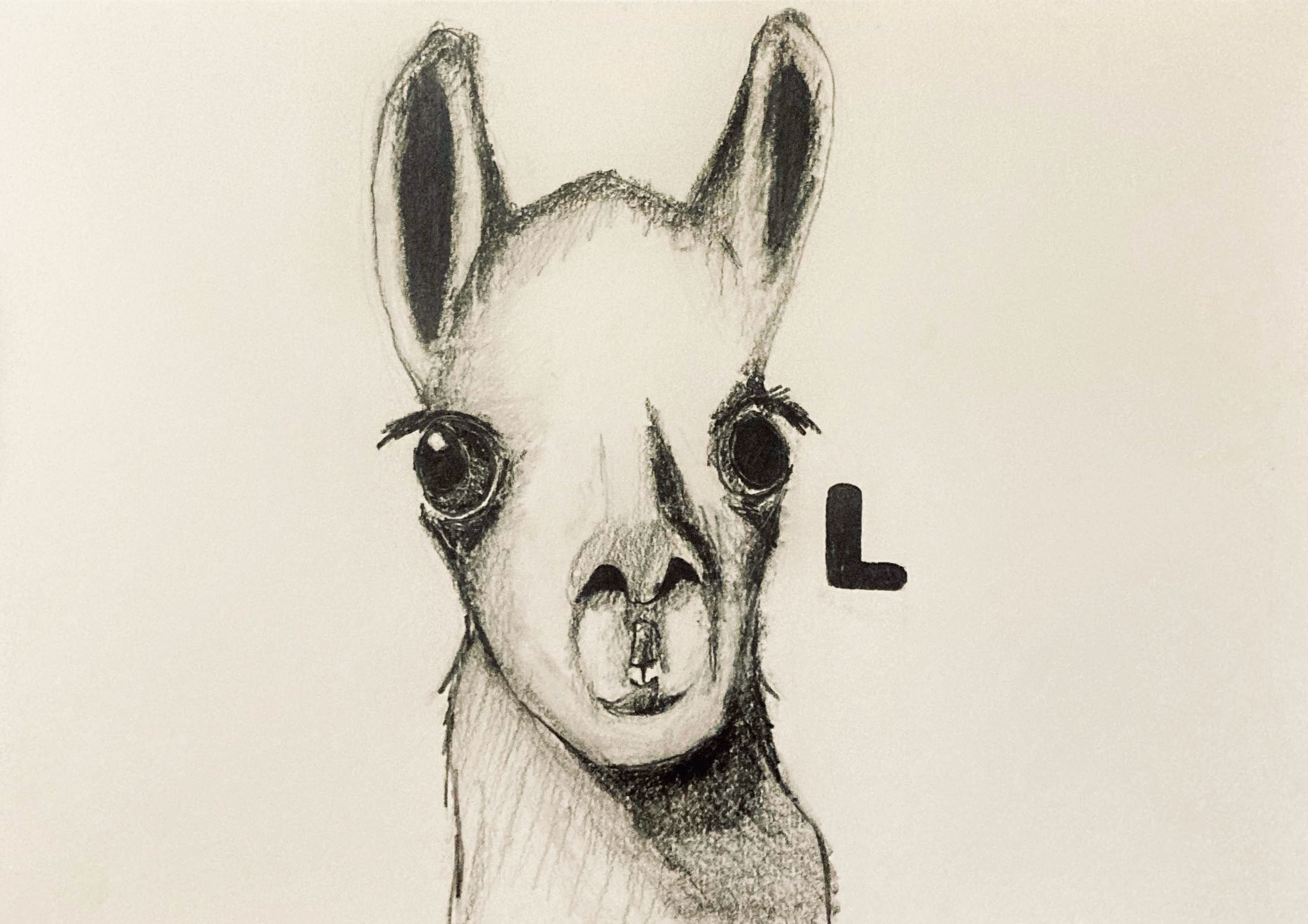 L (pencil, 20231217) Stephen J. Williams