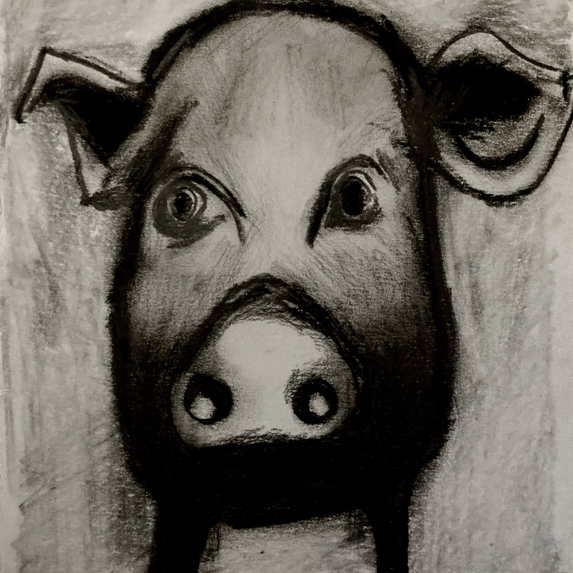 Piggy (charcoal and pencil, 20240315) Stephen J. Williams