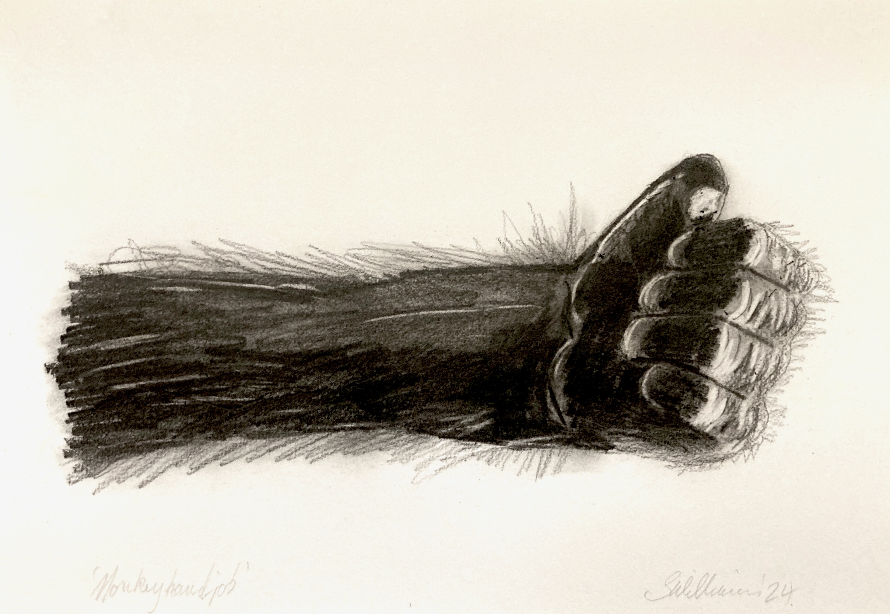 Monkey hand-job (pencil, 2024) Stephen J. Williams