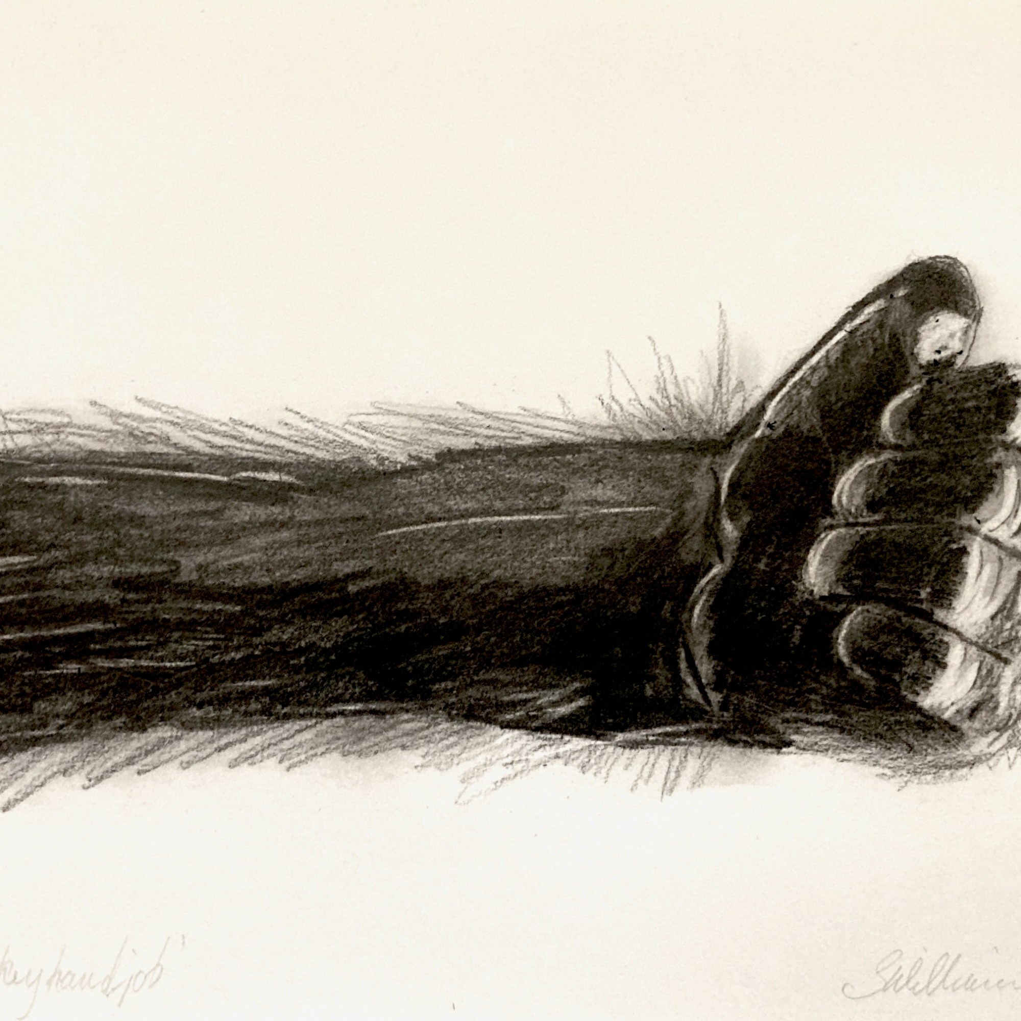 Monkey hand-job (pencil, 2024) Stephen J. Williams