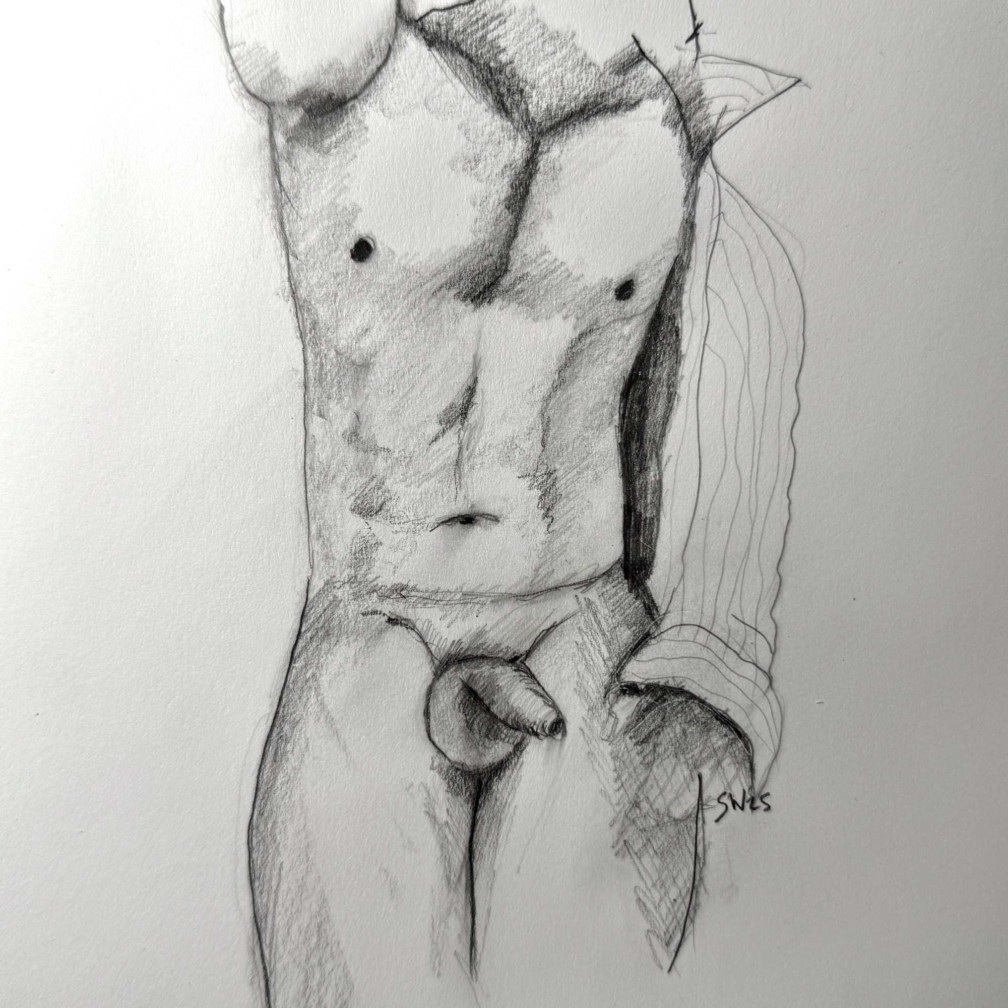 Torso (pencil, 2025) Stephen J. Williams