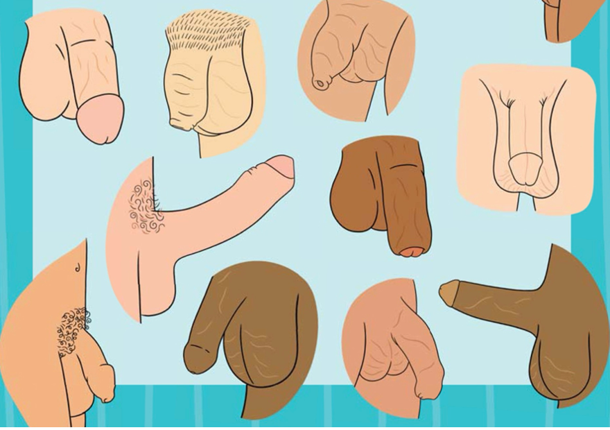 A ‘bag of dicks’ in Welcome to Sex, p. 113.